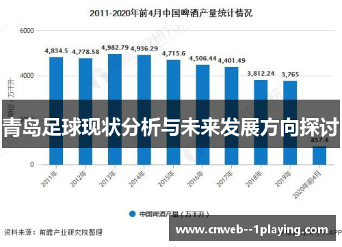 青岛足球现状分析与未来发展方向探讨